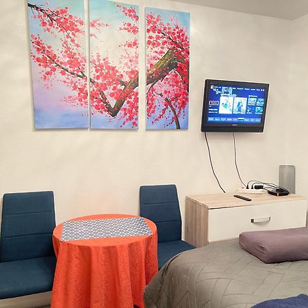 Top Studio Full Optional Saint Louis Vicino Stazione Saint Louis 68300 France Saint-Louis (Haut-Rhin) Exterior photo