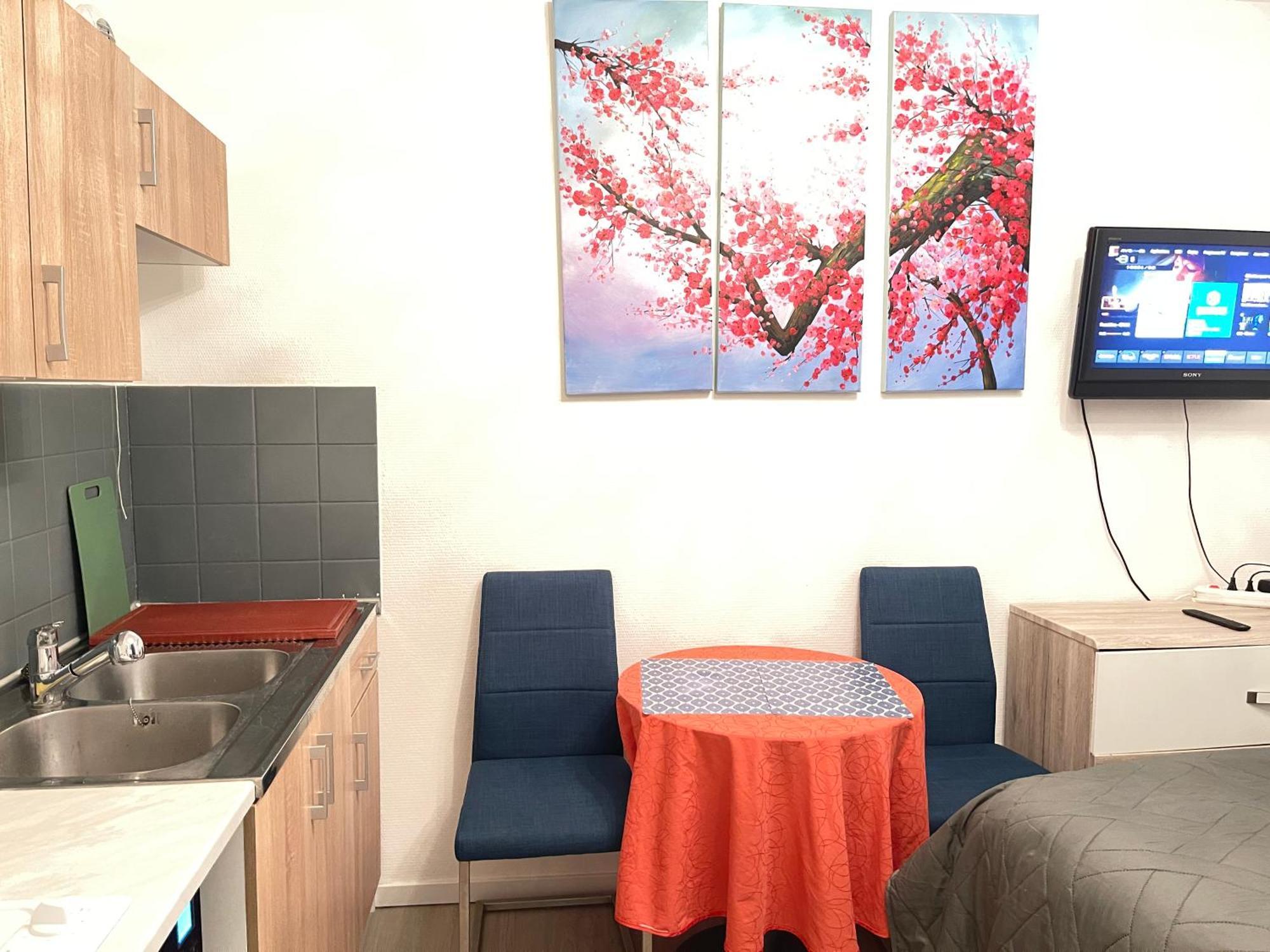 Top Studio Full Optional Saint Louis Vicino Stazione Saint Louis 68300 France Saint-Louis (Haut-Rhin) Exterior photo