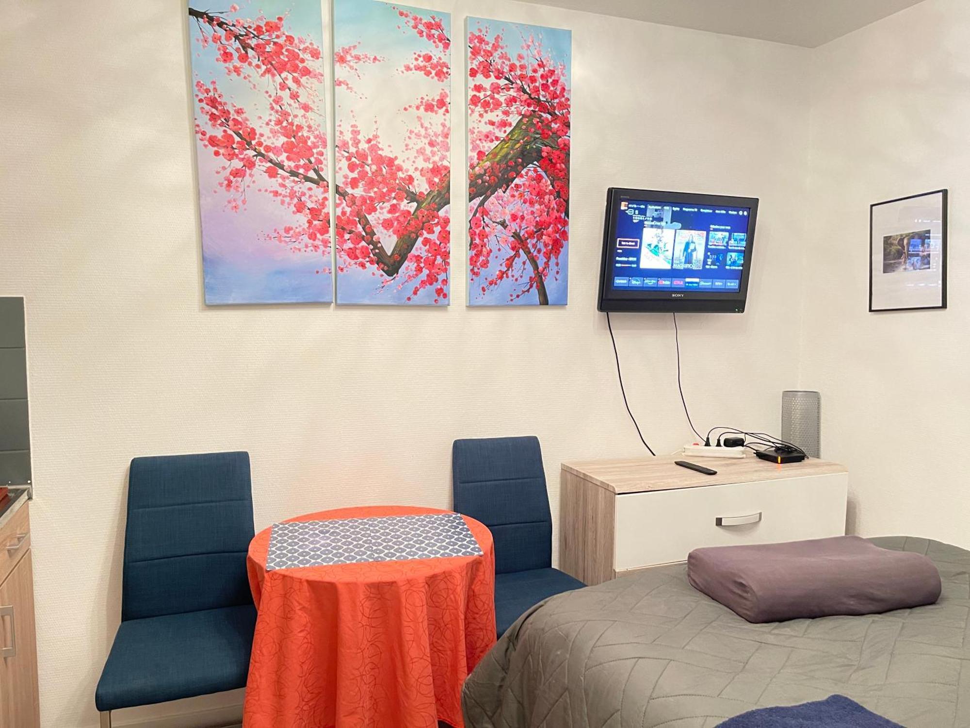Top Studio Full Optional Saint Louis Vicino Stazione Saint Louis 68300 France Saint-Louis (Haut-Rhin) Exterior photo