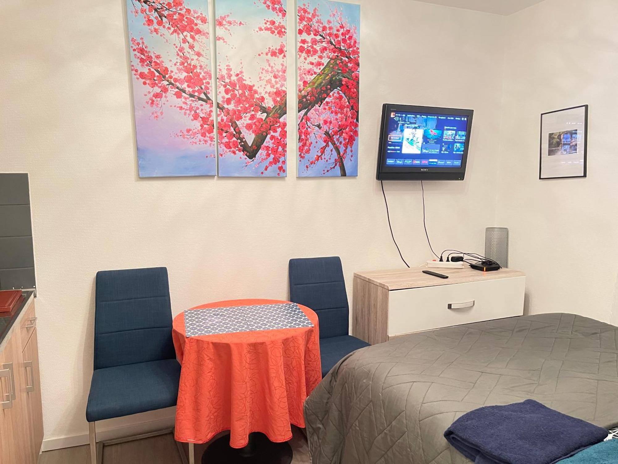 Top Studio Full Optional Saint Louis Vicino Stazione Saint Louis 68300 France Saint-Louis (Haut-Rhin) Exterior photo